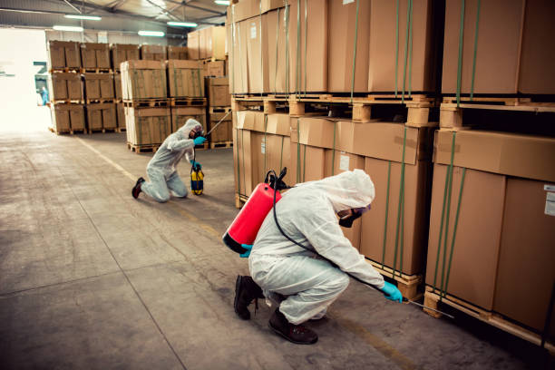 Best Flea Control Services  in South Gate, CA