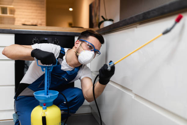 Best Commercial Pest Control Services  in South Gate, CA