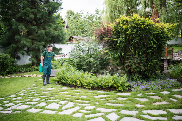 Best Pest Control Near Me  in South Gate, CA