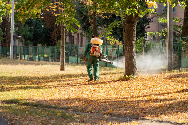 Best Wildlife Control Services  in South Gate, CA