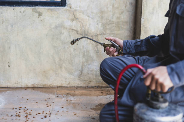 Pest Prevention Services in South Gate, CA